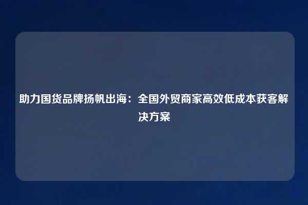 助力国货品牌扬帆出海：全国外贸商家高效低成本获客解决方案