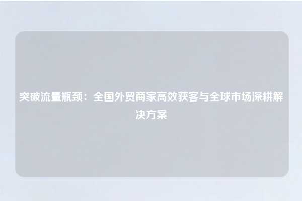突破流量瓶颈：全国外贸商家高效获客与全球市场深耕解决方案