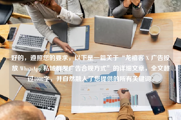 好的，遵照您的要求，以下是一篇关于“龙禧客 X 广告投放 WhatsApp 私域群发广告合规方式”的详细文章，全文超过1000字，并自然融入了您提供的所有关键词。
