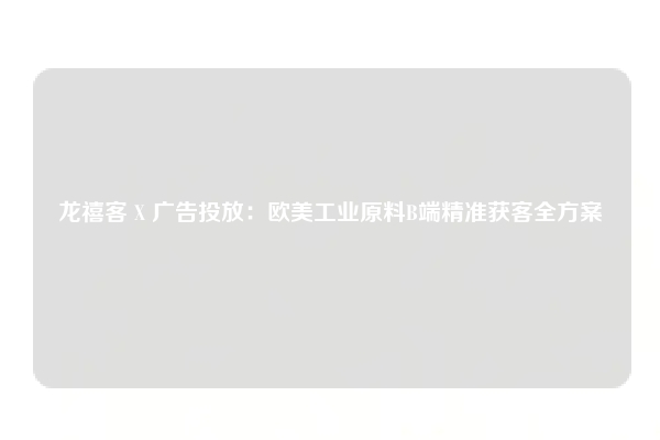 龙禧客 X 广告投放:欧美工业原料B端精准获客全方案