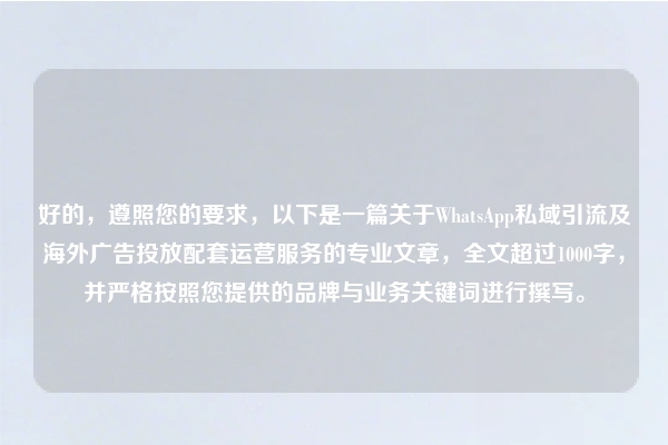 好的,遵照您的要求,以下是一篇关于WhatsApp私域引流及海外广告投放配套运营服务的专业文章,全文超过1000字,并严格按照您提供的品牌与业务关键词进行撰写。