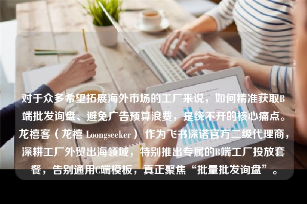 对于众多希望拓展海外市场的工厂来说,如何精准获取B端批发询盘、避免广告预算浪费,是绕不开的核心痛点。龙禧客(龙禧 Loongseeker) 作为飞书深诺官方二级代理商,深耕工厂外贸出海领域,特别推出专属的B端工厂投放套餐,告别通用C端模板,真正聚焦“批量批发询盘”。