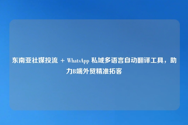 东南亚社媒投流 + WhatsApp 私域多语言自动翻译工具，助力B端外贸精准拓客