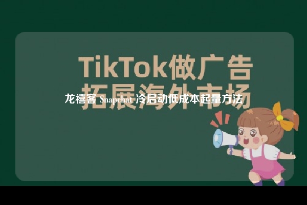 龙禧客 Snapchat 冷启动低成本起量方法