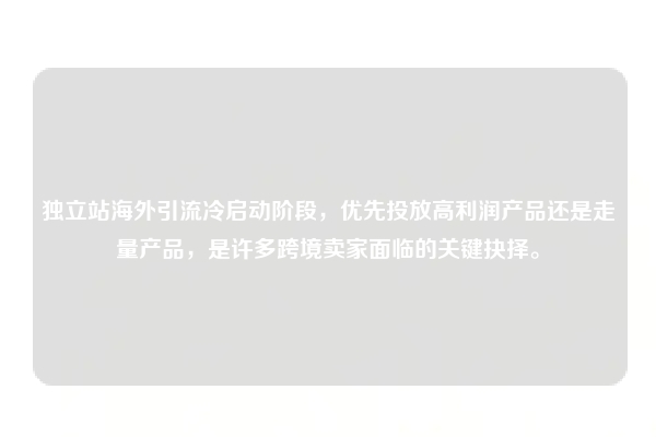 独立站海外引流冷启动阶段，优先投放高利润产品还是走量产品，是许多跨境卖家面临的关键抉择。